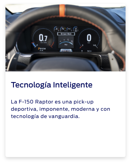 Características F150 Raptor 10